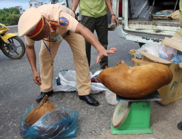 Bắt xe khách vận chuyển thịt động vật hoang dã 