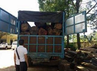 Bị phát hiện, tài xế lái xe tải bỏ lại 10m3 gỗ, rồi bỏ trốn