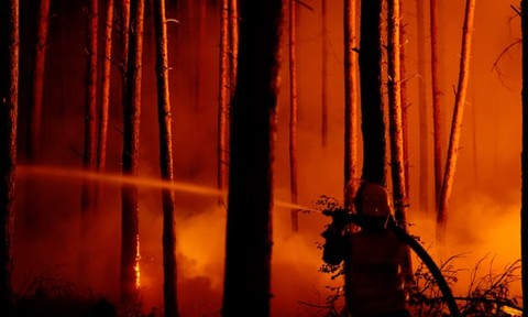 Đức: Cháy rừng, thành phố Berlin bị bao trùm trong khói
