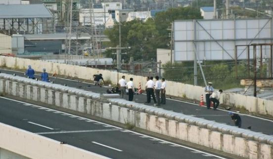 Tai nạn xe máy liên hoàn tại Nhật Bản làm 8 người thương vong