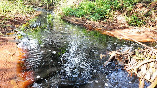 Gia Lai: Nguy hại nước thải bốc mùi hôi thối từ bãi rác thải trực tiếp ra suối