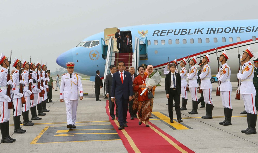 Chủ tịch nước Trần Đại Quang đón, hội đàm với Tổng thống Indonesia