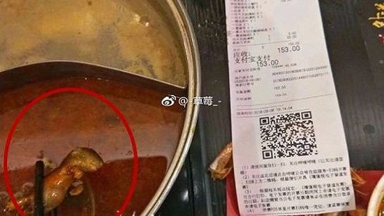 Chuỗi nhà hàng nổi tiếng Trung Quốc mất 190 triệu USD vì đồ ăn có chuột