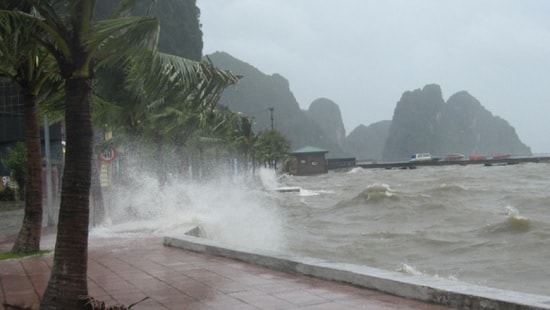 Quảng Ninh lên kịch bản phương án di dân, ứng phó siêu bão