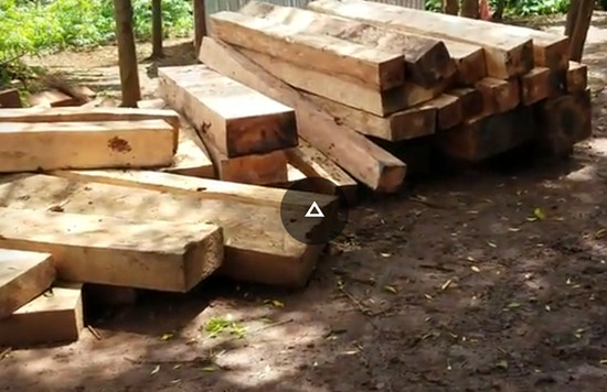 Vụ gỗ lậu ở huyện Mang Yang: Phát hiện 4 bãi tập kết