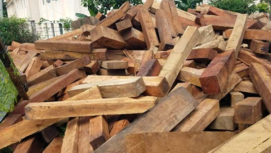 Vụ gỗ lậu ở huyện Mang Yang: Tra số điện thoại xác định đối tượng đe dọa cán bộ bảo vệ rừng