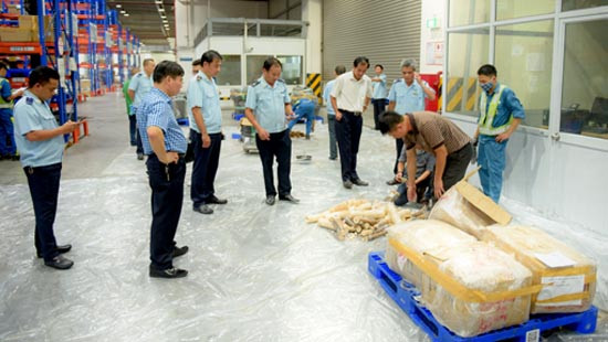 Bắt giữ số lượng lớn ngà voi, tê tê tại Cửa khẩu Sân bay quốc tế Nội Bài