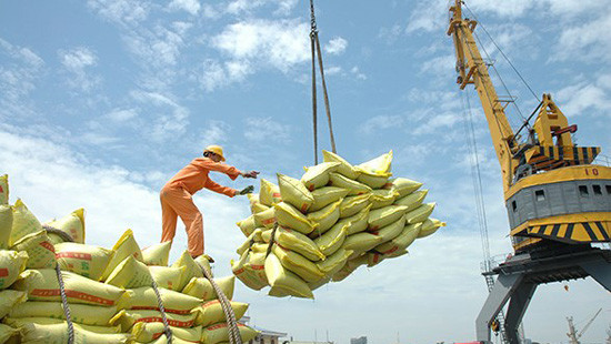 Chủ động cân đối nguồn vốn cho vay xuất khẩu gạo