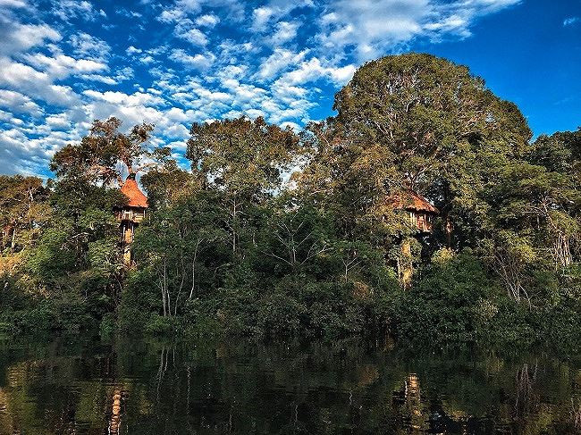 Chùm ảnh: Ngắm các ngôi nhà trên cây đẹp nhất thế giới