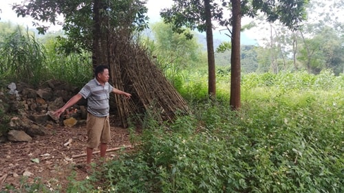 Thanh Hóa: Nguyên cán bộ địa chính xã bị “tố” giả mạo chữ ký để bán đất của dân