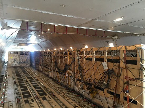200 cô bò sữa hữu cơ “cưỡi” máy bay từ Úc về Việt Nam