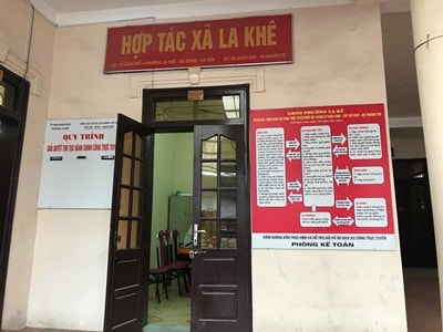 Hợp tác xã La Khê (Hà Nội): Cần làm rõ có hay không việc chuyển nhượng đất trái pháp luật