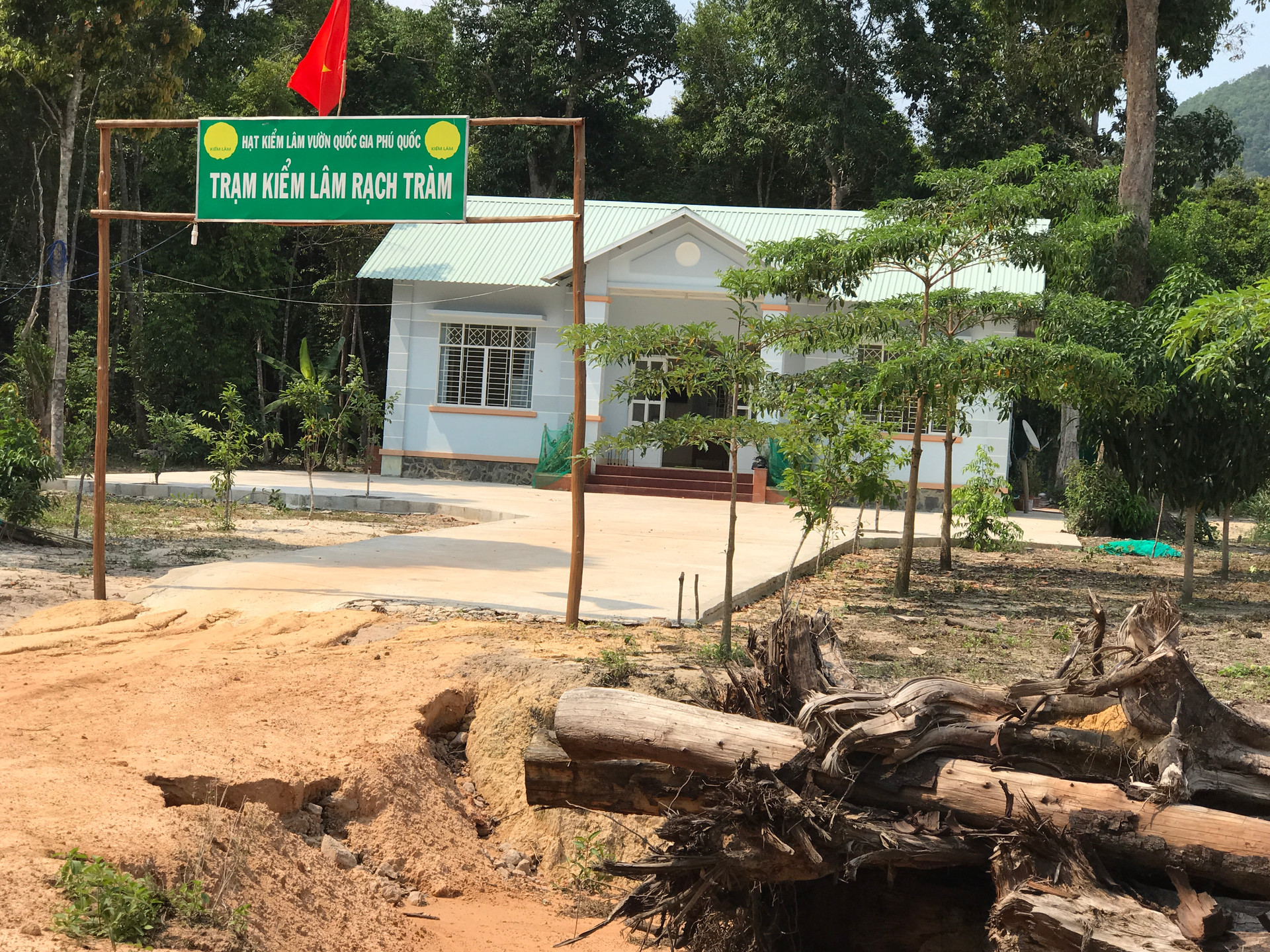 Phó Thủ tướng Chính phủ yêu cầu xử lý hình sự đối tượng phá rừng, lấn chiếm đất công