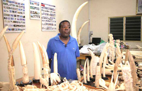 Emile N’Bouke - Trùm của những ông trùm buôn lậu ngà voi Châu Phi 