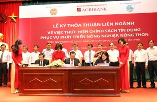 10 năm triển khai Nghị quyết 26 - NQ/TW: Khẳng định hiệu quả tín dụng ngân hàng