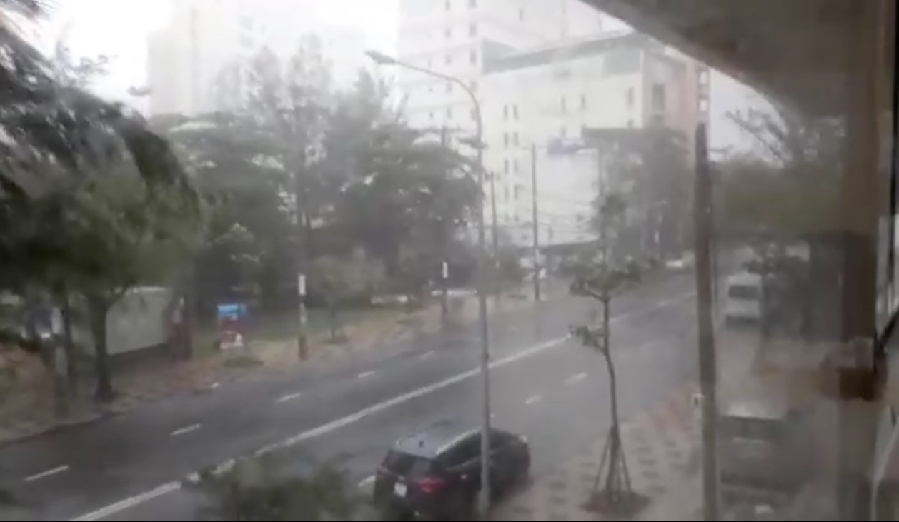 Bão số 9 đổ bộ: Đường phố Vũng Tàu ngập nặng, cây gãy đổ hàng loạt