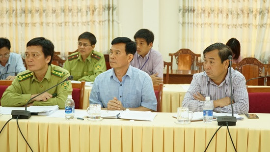 Kon Tum họp báo về vụ phá rừng ở huyện Kon Plông