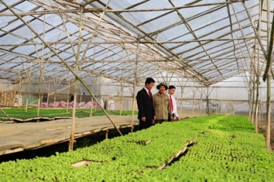 Agribank và Hội Nông dân Việt Nam tăng cường phối hợp triển khai chính sách “Tam nông”