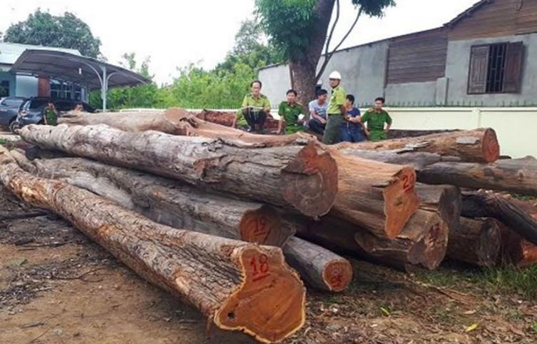 Vụ bắt trùm gỗ lậu Phượng “râu”: Khởi tố thêm một Giám đốc doanh nghiệp