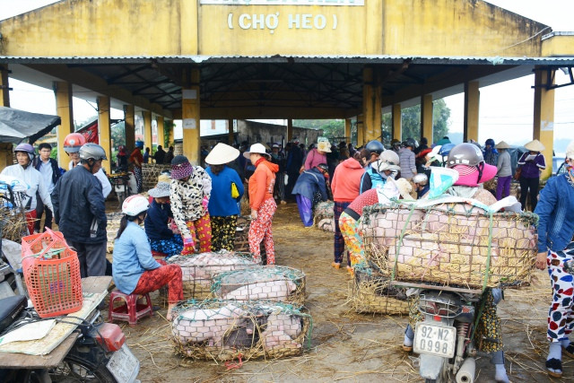 Độc đáo chợ bồng heo ở Quảng Nam