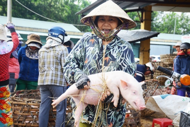 Độc đáo chợ bồng heo ở Quảng Nam