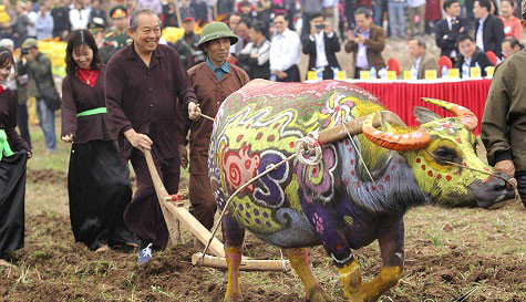 Phó Thủ tướng Trương Hòa Bình xuống đồng cày ruộng tại Lễ hội Tịch điền