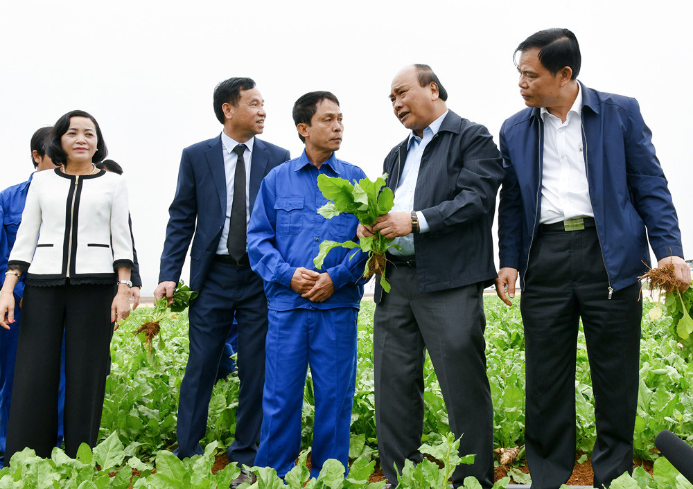 Thủ tướng: Nông nghiệp Việt Nam cần áp dụng mạnh mẽ 5 công nghệ