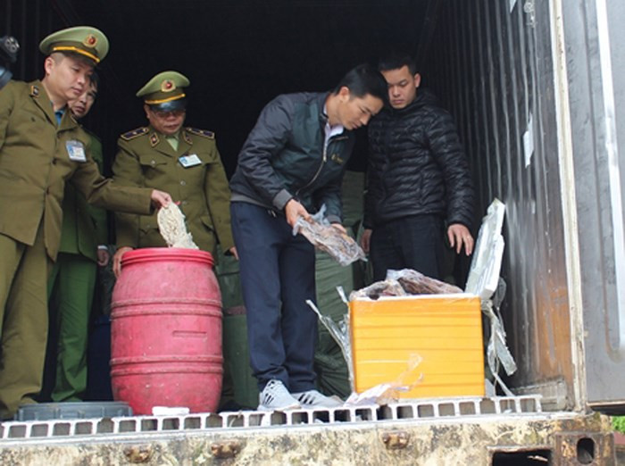 Bắt giữ 11 tấn nội tạng động vật nhập lậu ở Lạng Sơn