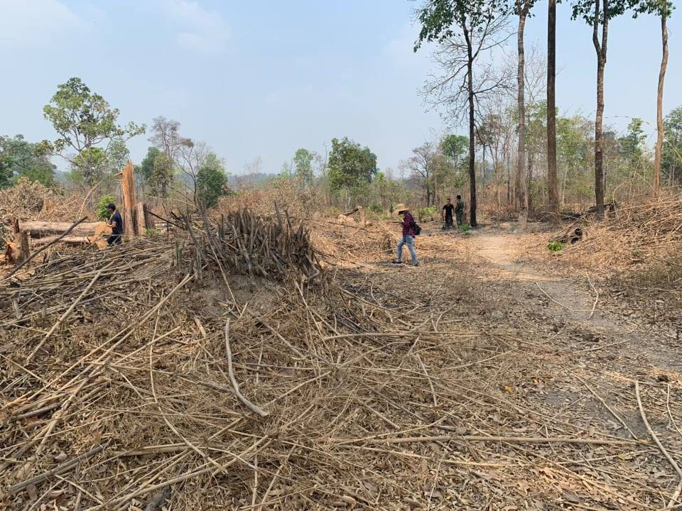 Cần xử lý nghiêm minh các đối tượng phá rừng tại Gia Lai