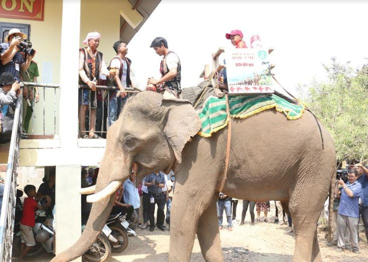 Lễ hội cà phê Buôn Ma Thuột năm 2019: Đặc sắc lễ cúng bến nước và cúng sức khỏe cho voi