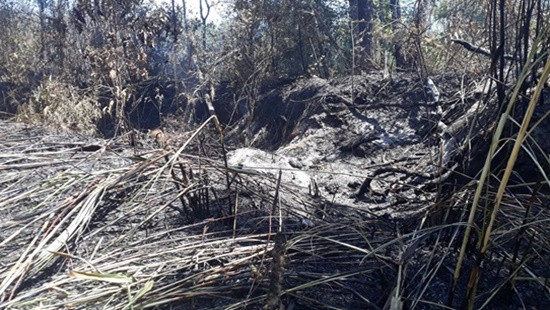 Cháy rừng diện rộng ở Gia Lai, hàng trăm người tham gia chữa cháy