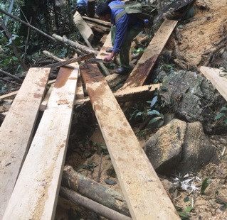 Lộ diện 5 vị trí khai thác gỗ trái phép trong Khu Bảo tồn thiên nhiên Ngọc Sơn- Ngổ Luông