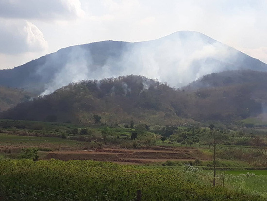 Gia Lai: Cháy rừng trên diện rộng ở Đăk Pơ