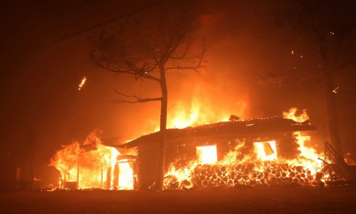 Cháy rừng ở Hàn Quốc: Người Việt đã được di dời an toàn