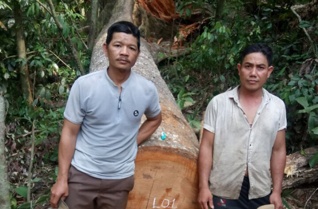 Xác định 2 đối tượng “xẻ thịt” rừng phòng hộ ở Quảng Nam 