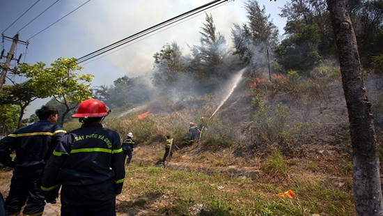 Dập tắt đám cháy tại khu bảo tồn thiên nhiên bán đảo Sơn Trà