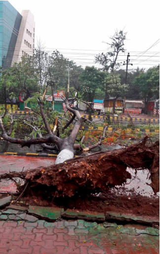 Đã có ba người chết trong siêu bão Fani ở Ấn Độ, Bangladesh