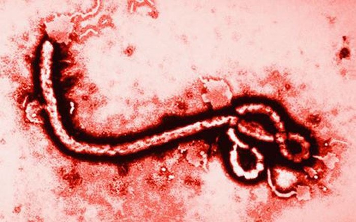 Chuyển động thế giới 4/5: Đã 994 người ở Congo bị Ebola 