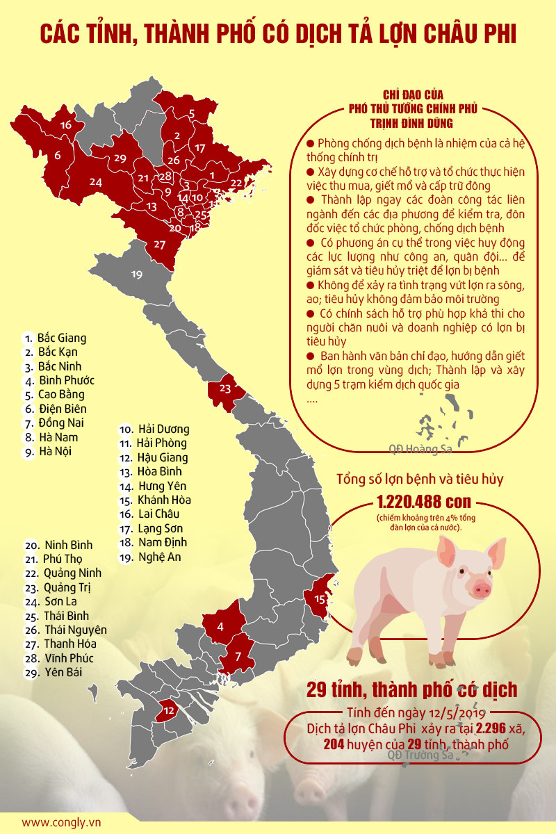 [Infographics]: 29 tỉnh, thành phố có dịch tả lợn châu Phi
