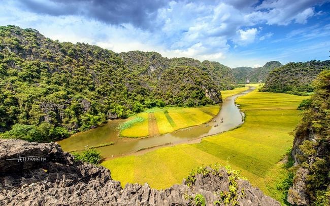 Thu trọn ‘Mùa vàng Tam Cốc’ từ đỉnh Vạn lý trường thành Việt Nam