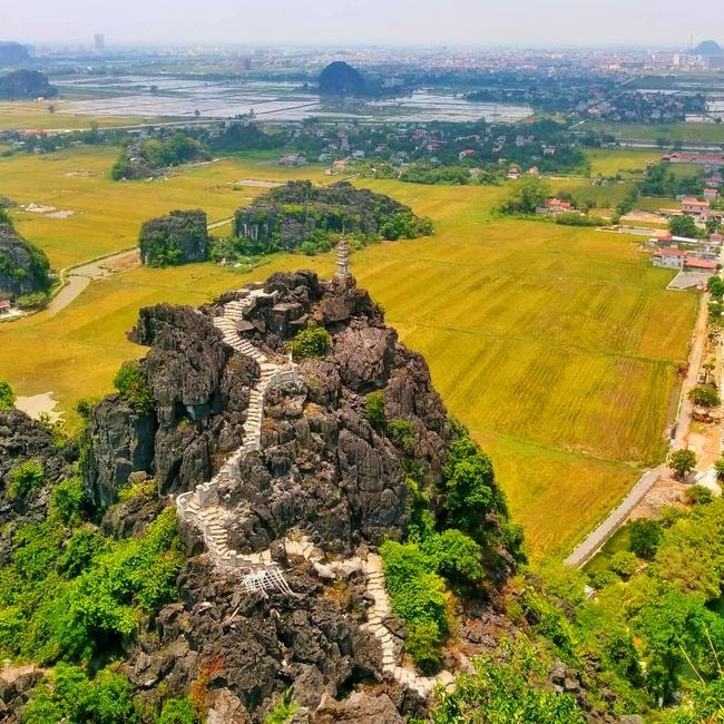 Thu trọn ‘Mùa vàng Tam Cốc’ từ đỉnh Vạn lý trường thành Việt Nam