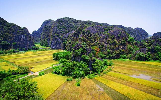 Thu trọn ‘Mùa vàng Tam Cốc’ từ đỉnh Vạn lý trường thành Việt Nam