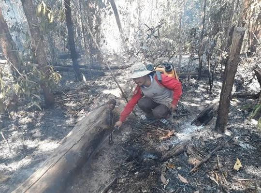Cán bộ, nhân viên ban quản lý rừng phòng hộ Đăk Đoa bị đề nghị xử lý trách nhiệm