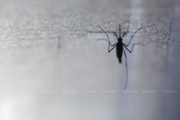 Chuyển động thế giới 11/6: Thái Lan tích cực kiểm soát dịch “sốt khom lưng” 