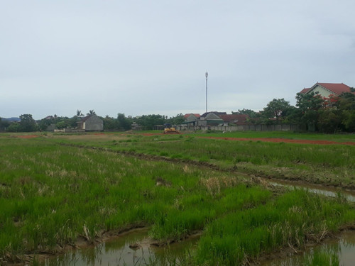Huyện Hưng Nguyên (Nghệ An): Chưa xây xong hạ tầng đã chuẩn bị đấu giá đất