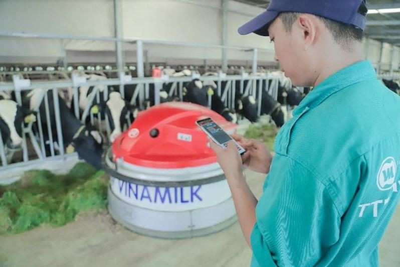 Vinamilk tổ chức cho con em nhân viên thăm Resort bò sữa
