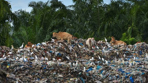 Chuyển động thế giới 16/6: Indonesia chở container trả Mỹ rác thải nhập khẩu