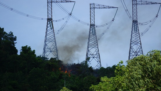 Cháy lớn tại Đà Nẵng, hơn 3 hecta rừng bị thiêu rụi