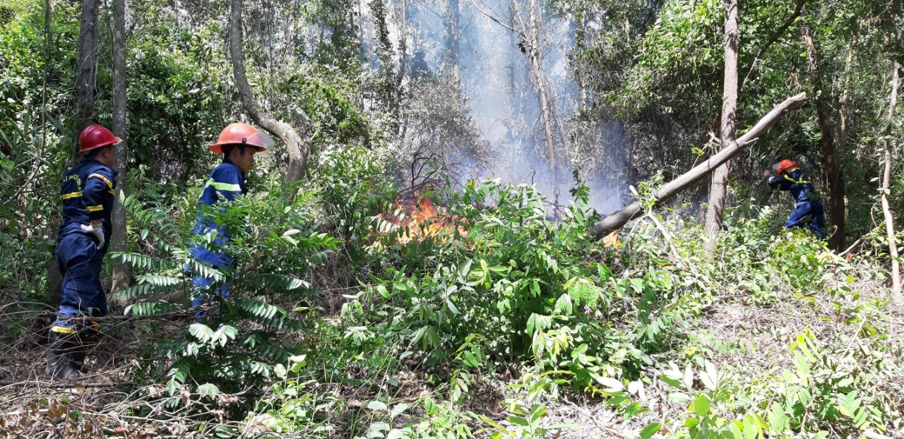 Cháy lớn tại Đà Nẵng, hơn 3 hecta rừng bị thiêu rụi