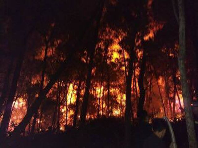 Công điện của Thủ tướng: Xử lý trách nhiệm của người đứng đầu khi để xảy ra cháy rừng